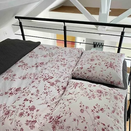 Proche Paris Et Disney-calme Absolu Willa